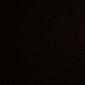 Meet your Posher, Annette